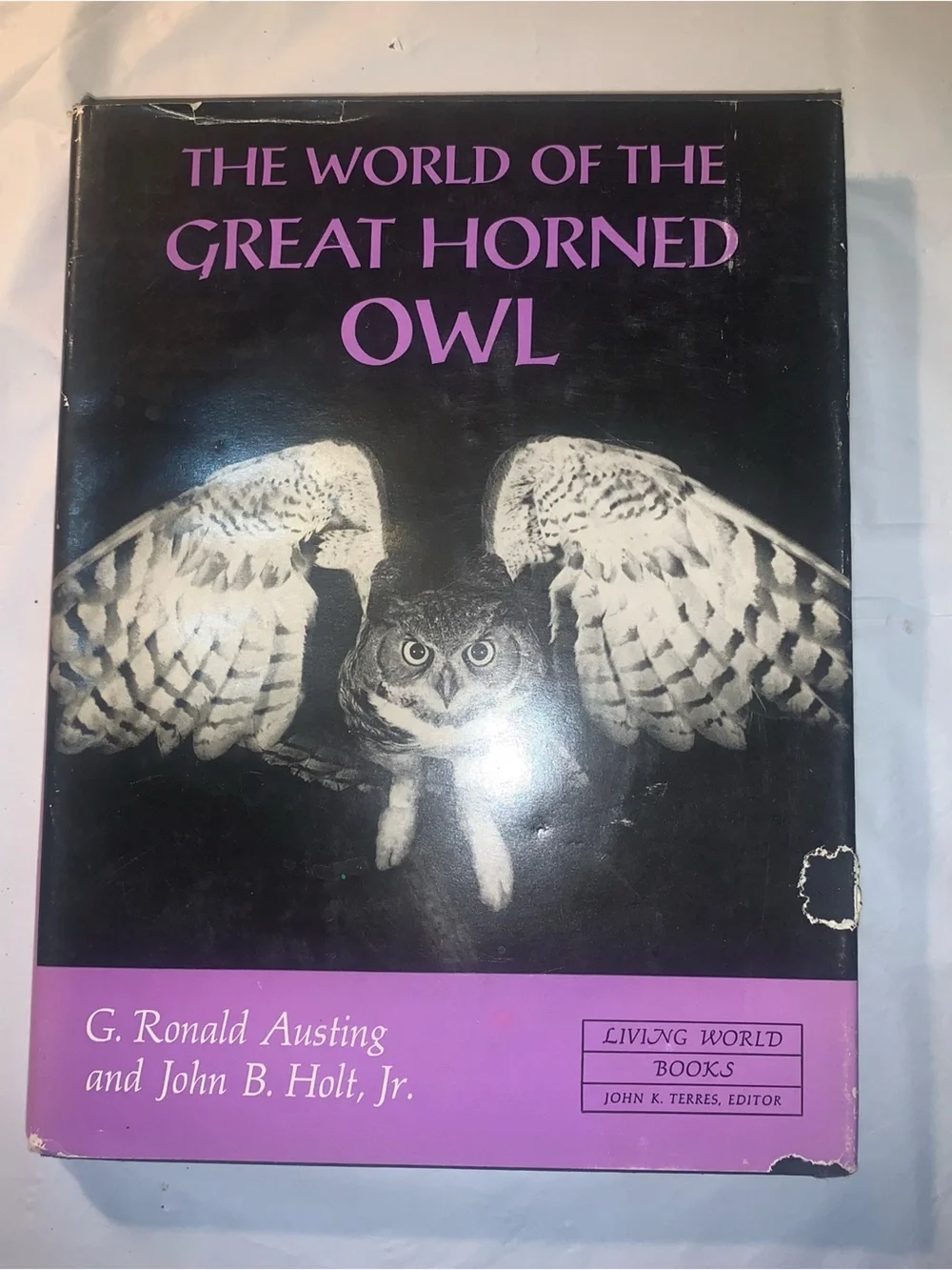 The World of the Great Horned Owl - John B Holy